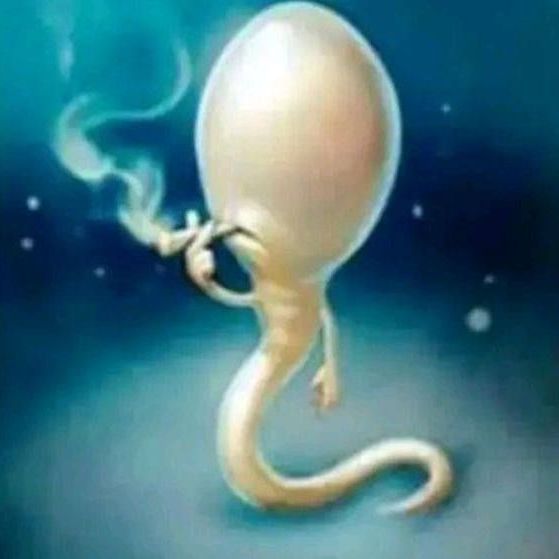 SirBalloon