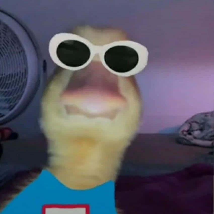 gazz
