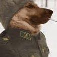 Eksk0m avatar