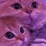 We1thy_y avatar