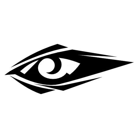 Visionary