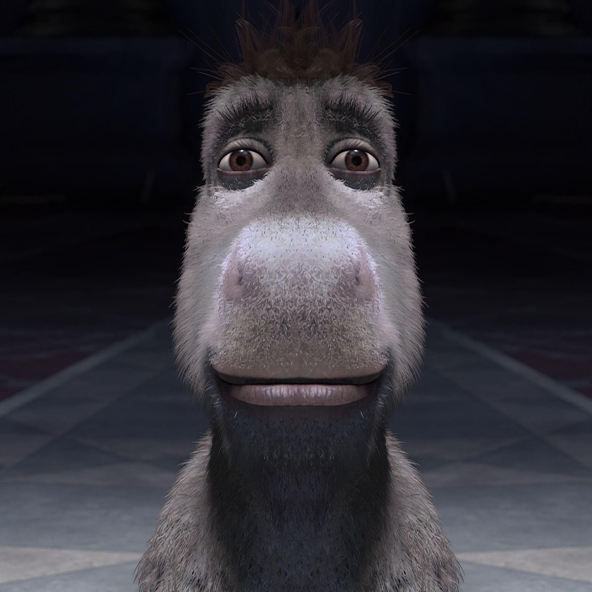 DookiePizza avatar
