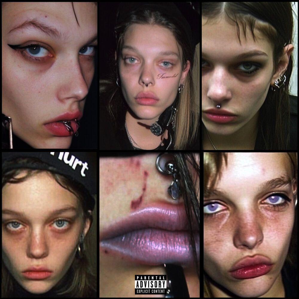 -mice666 avatar