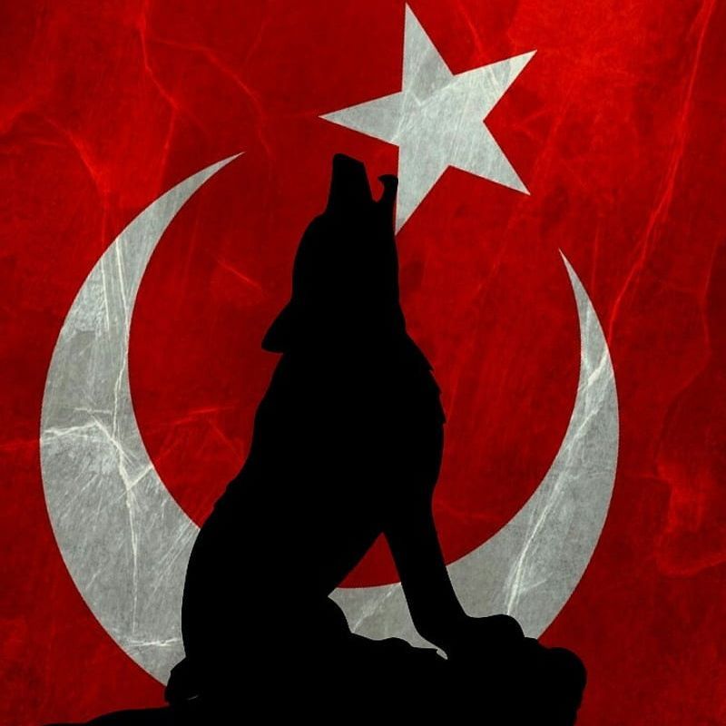 Selobaba32