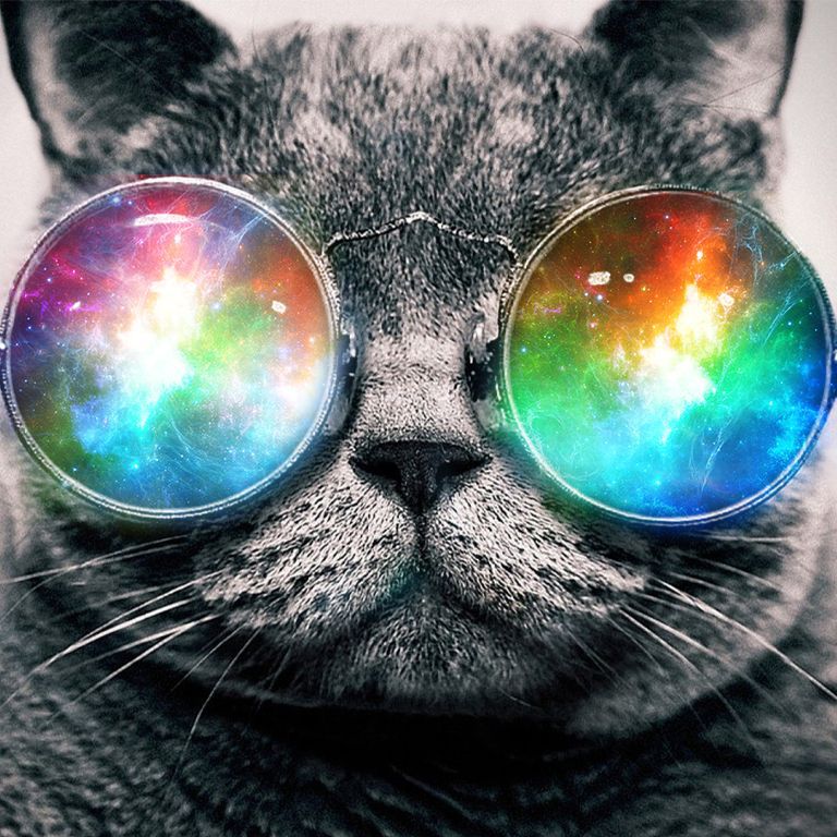 Fayd_17 avatar