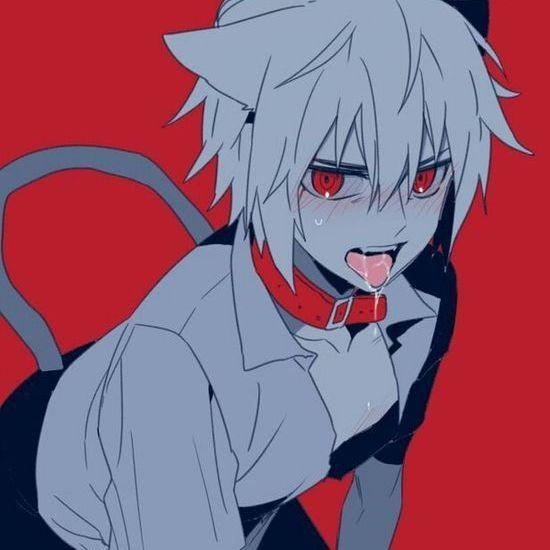 femboychickk avatar