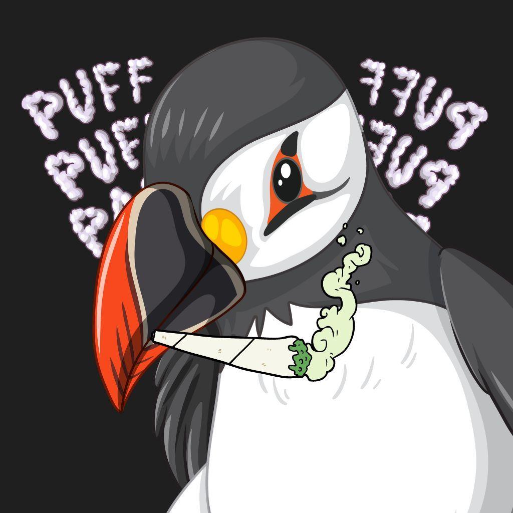 puffffin avatar