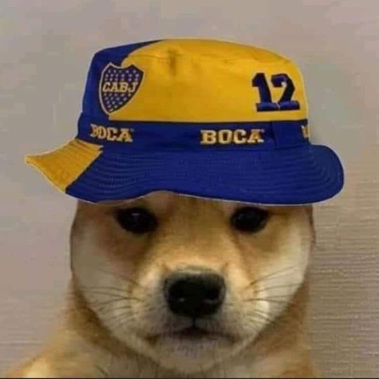 zguas avatar