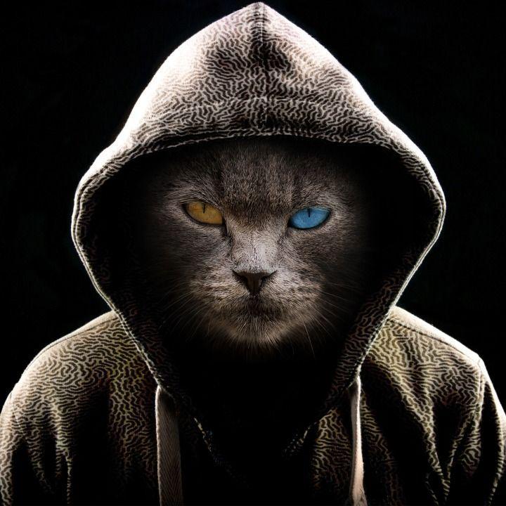 -Ko0 avatar