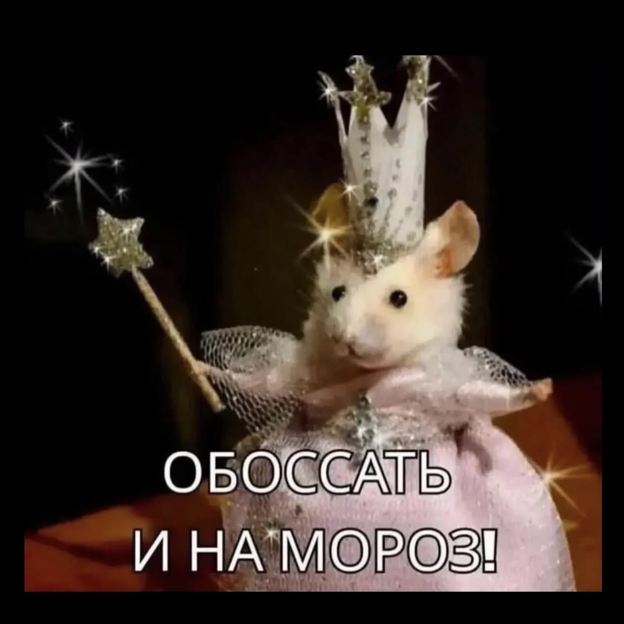 ne_v_rotik