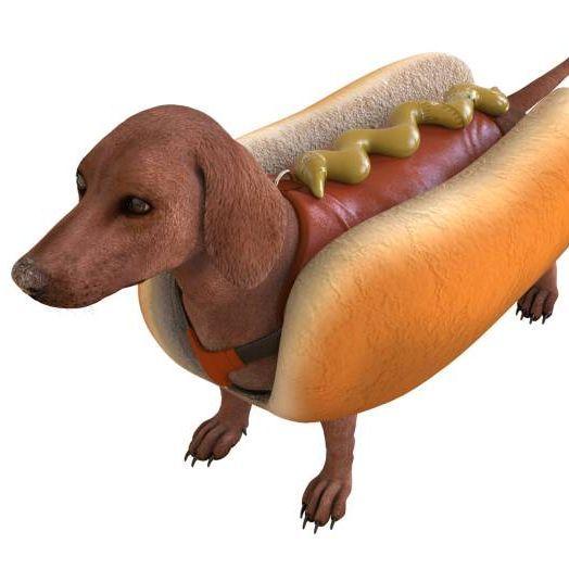 hotdogjoker avatar