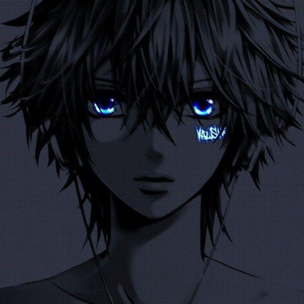 shel44 avatar