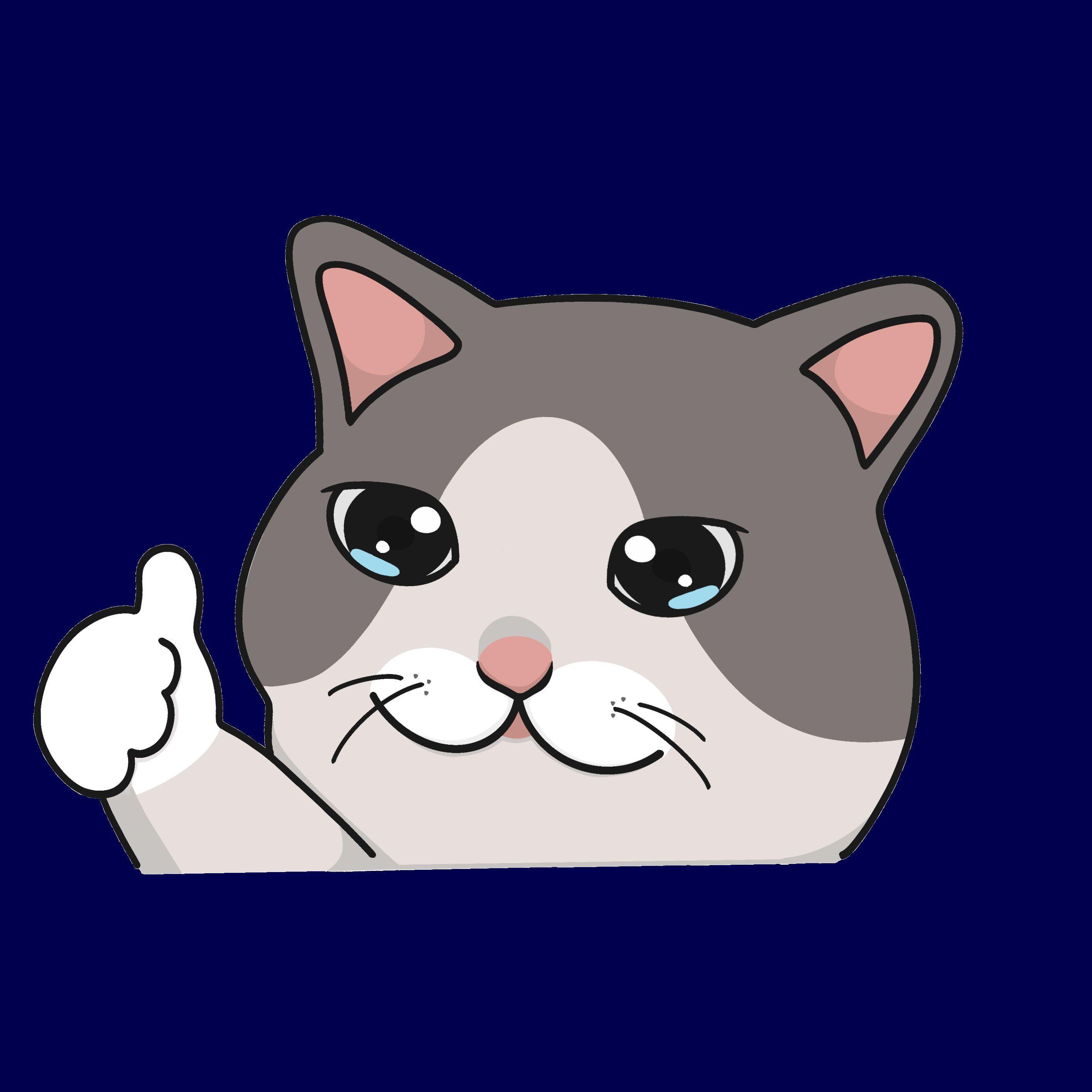 conmeo276 avatar