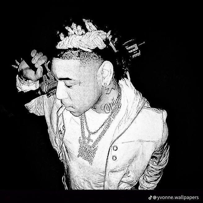 LiqFeed avatar