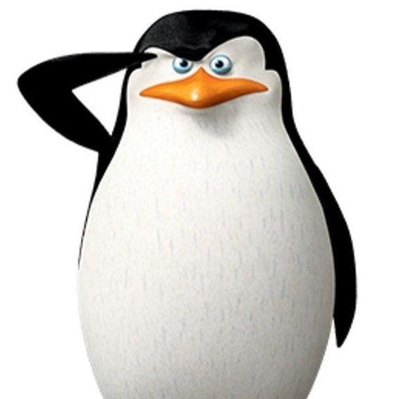shkiper_j avatar
