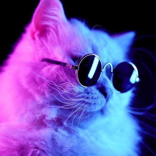 freshniki avatar