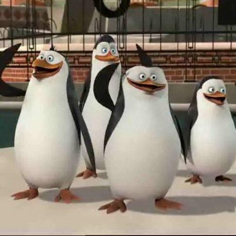 Kowalski- avatar