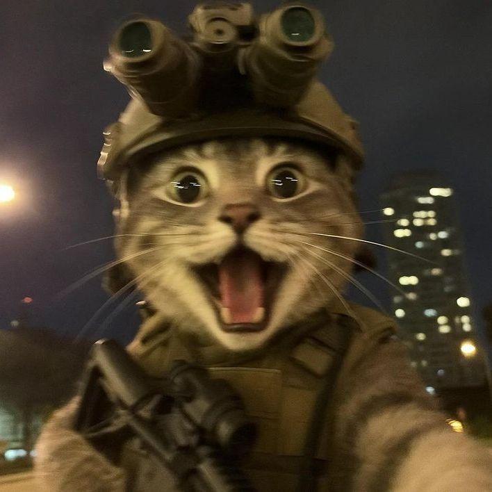 P4RAD1SE_ avatar