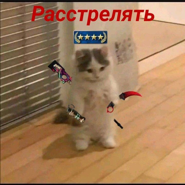 pidagog3