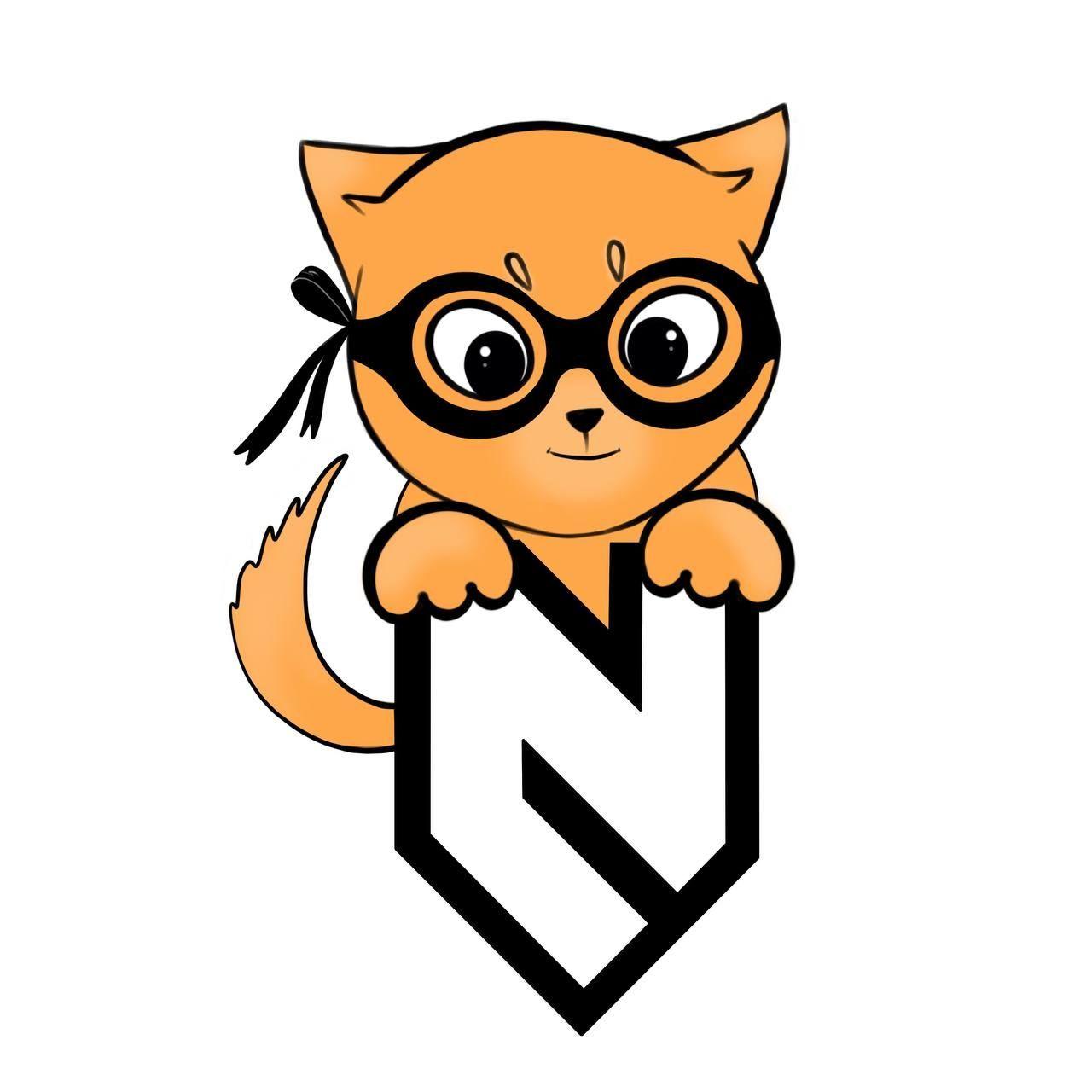 Player NashVPN avatar