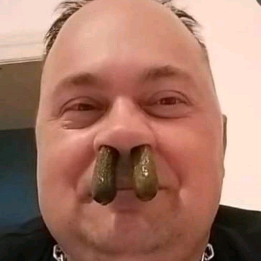 Szecsei10 avatar