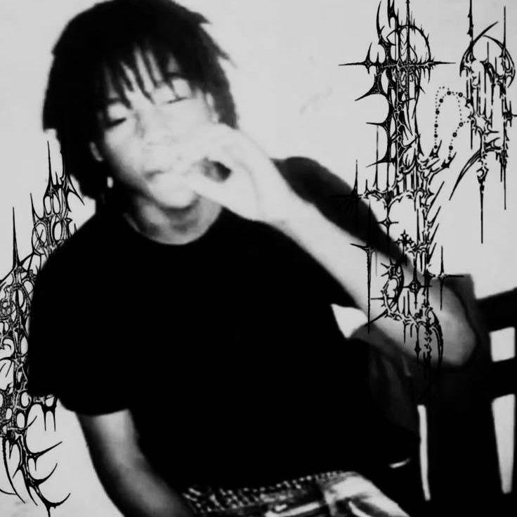 nocennse avatar