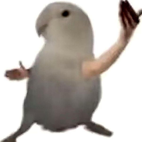 KW_7