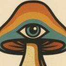 ishroom avatar