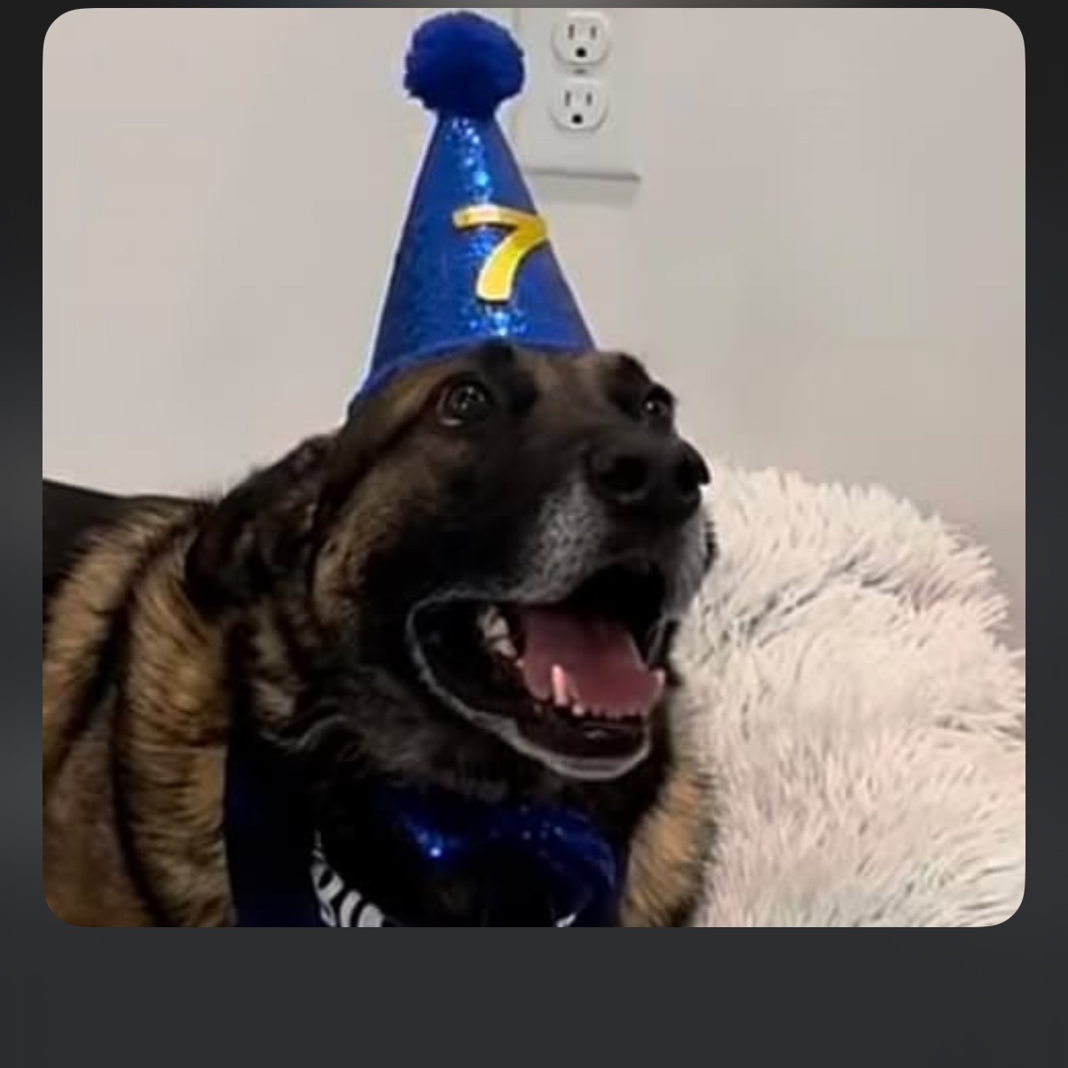 Ghost0d FACEIT avatar