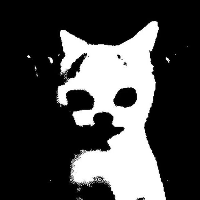 Slai199 avatar