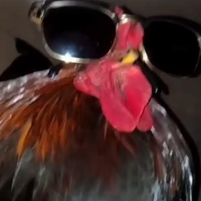 nito0o