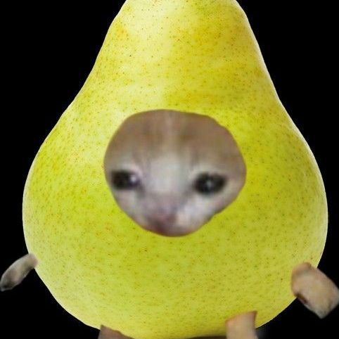 opyxolb