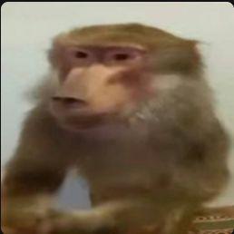 789