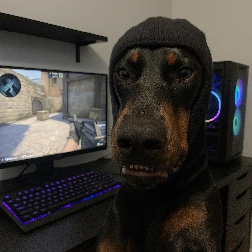 asushnik avatar