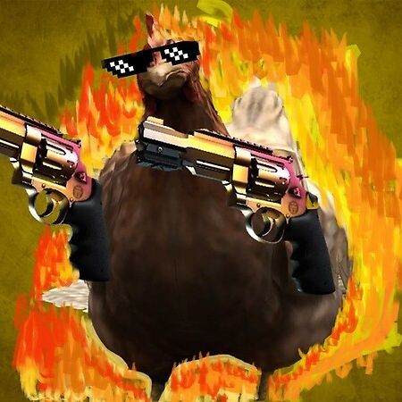 MRzoomick