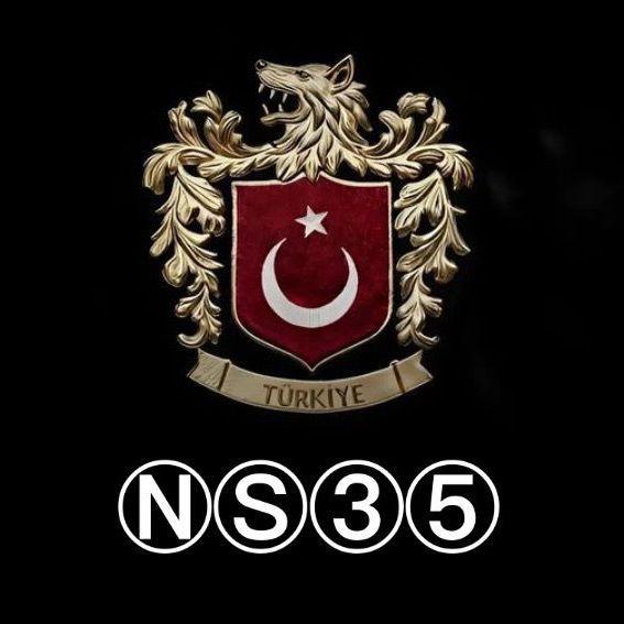 NS35 avatar