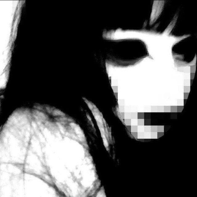 Shikaii avatar