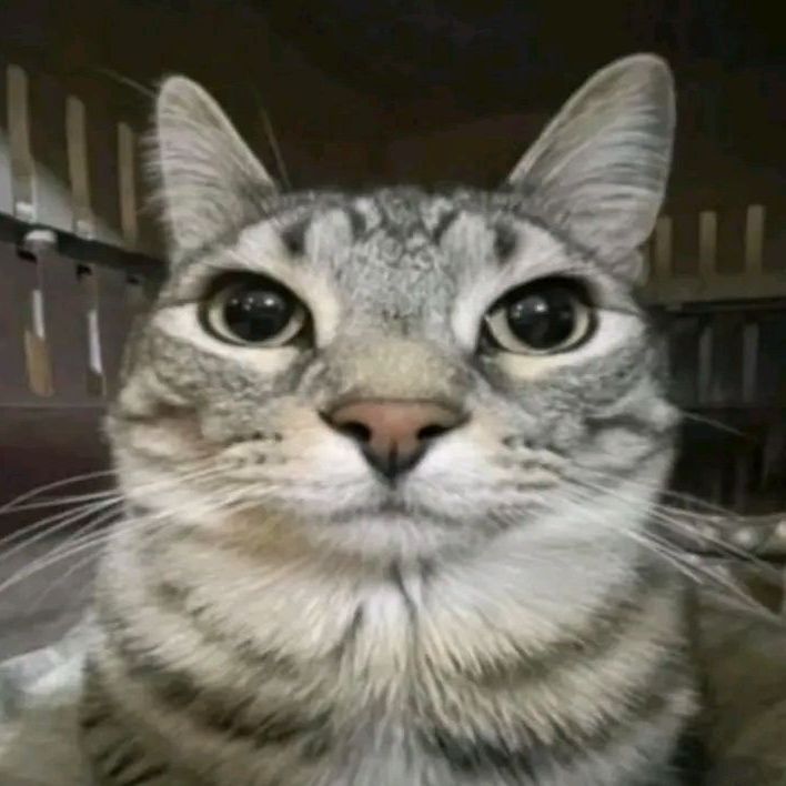 annnya