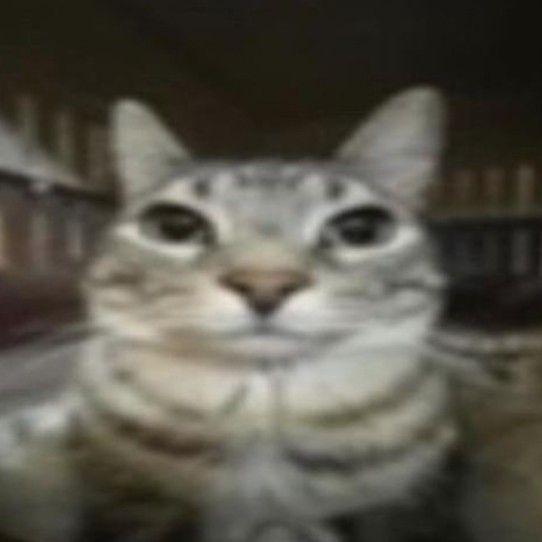 SebyAx avatar