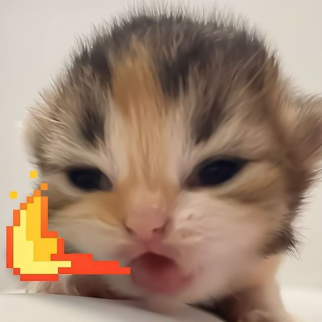 NikBa_
