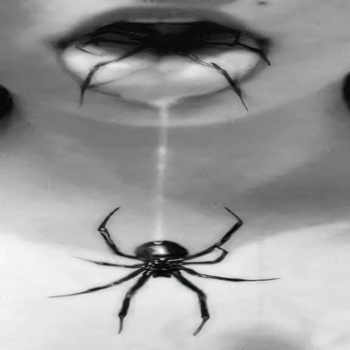 feusS avatar