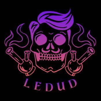 Player Ledudenko avatar