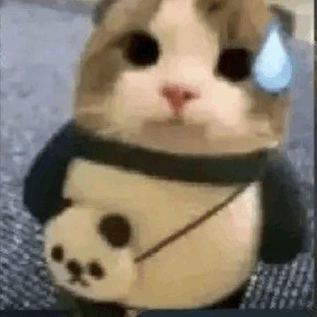 Douglaz avatar