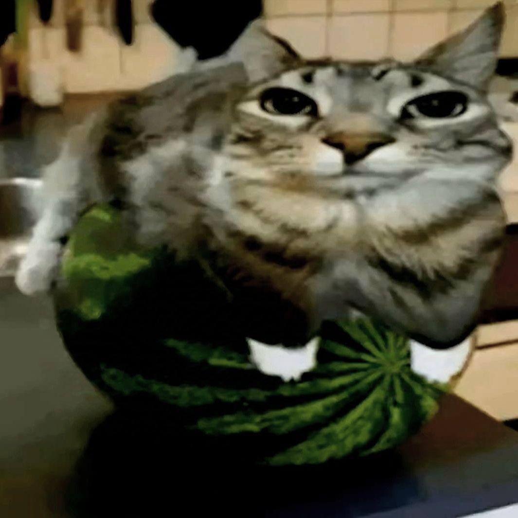 JustKekken_ avatar