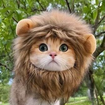 onezerox