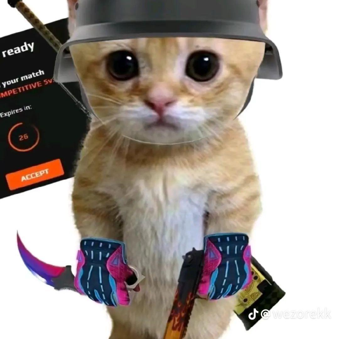 _TVR_