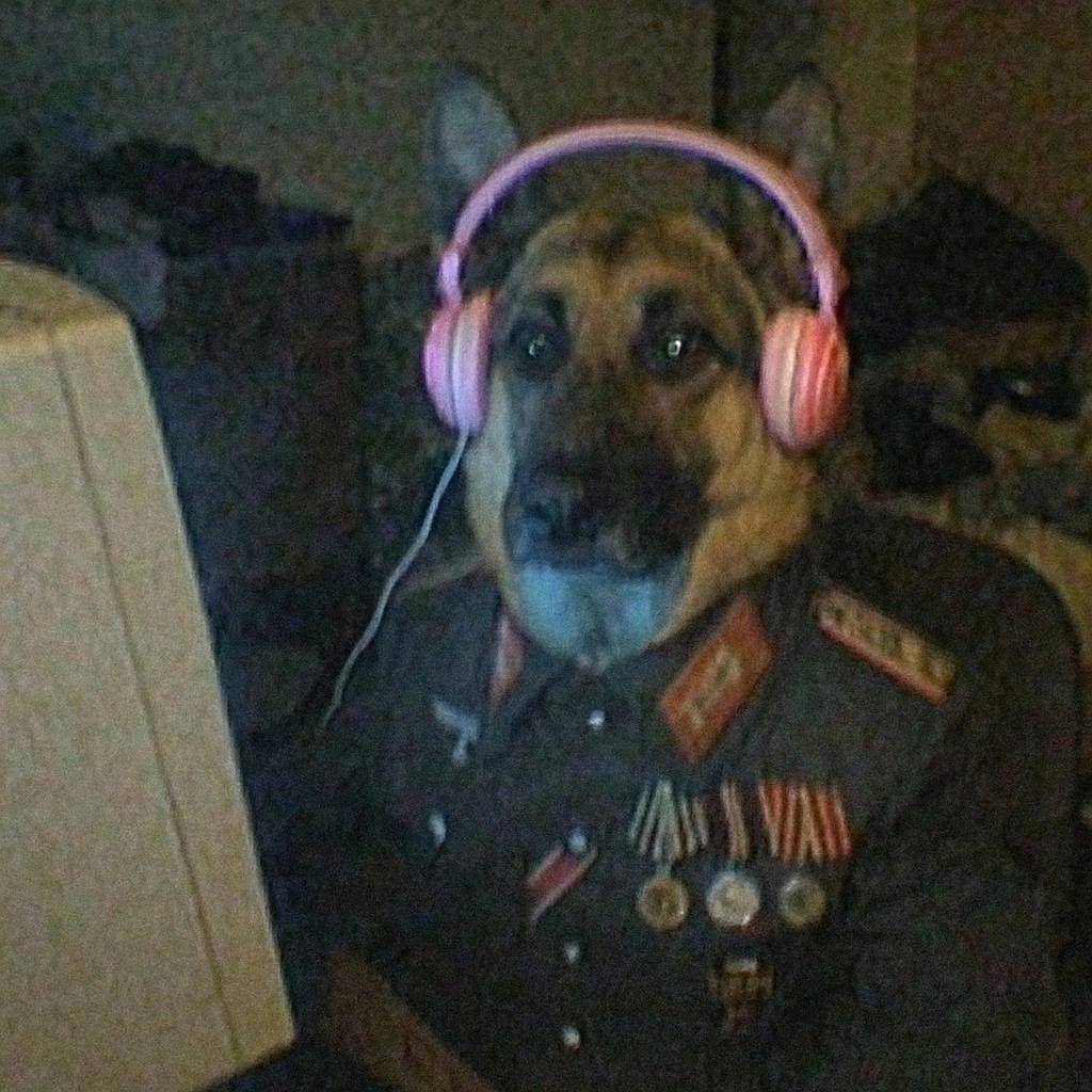 Ijunskiy avatar