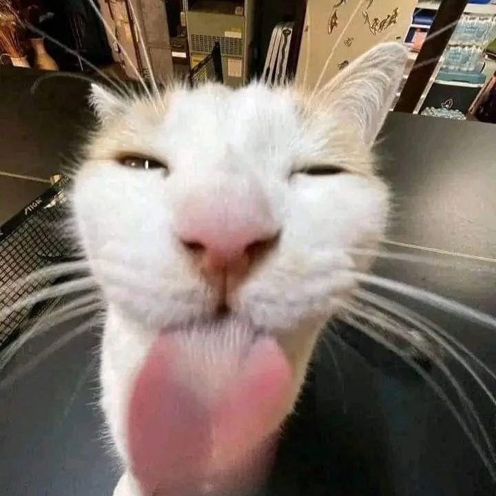 Mrffirs
