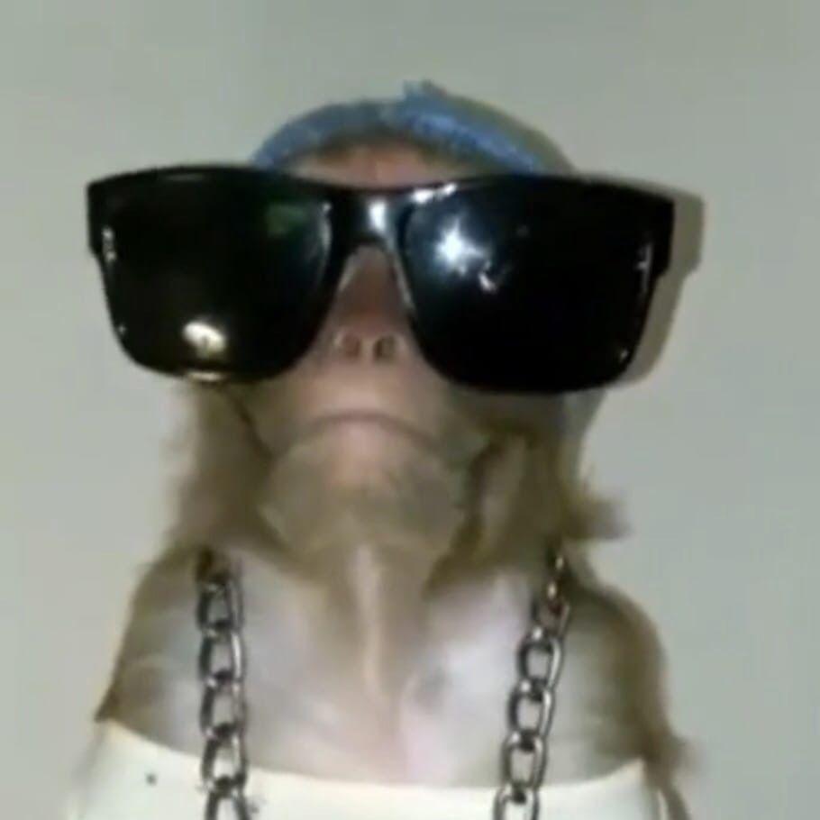 coastwise avatar