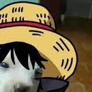 BixRat